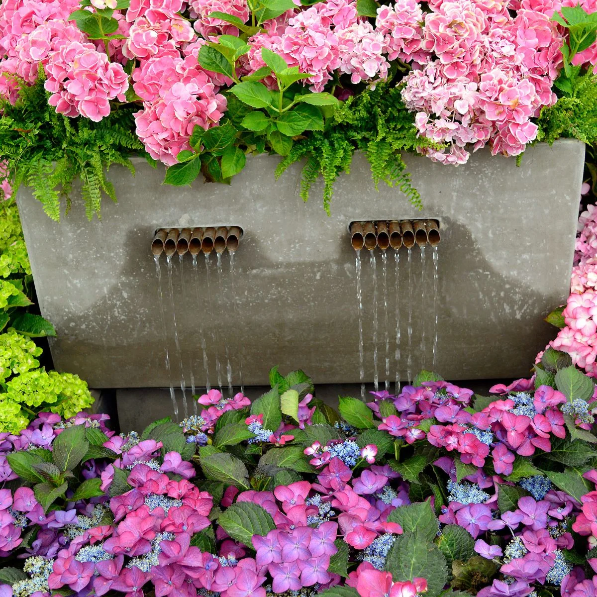 A water feature surrounded by colorful hydrangea flowers.