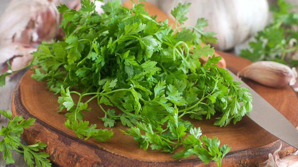 Chervil herb and garlic cloves on a wooden cutting board.