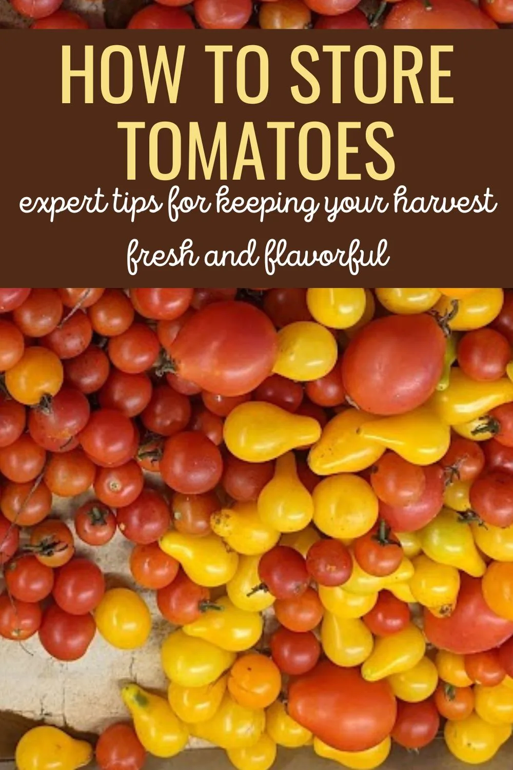 How to Store Tomatoes - Expert Tips for Keeping Your Harvest Fresh and Flavorful