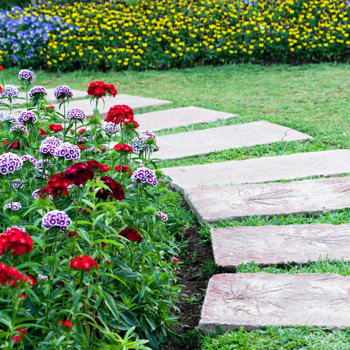 Walkway made form slabs, and surrounded by bright colored flowers.