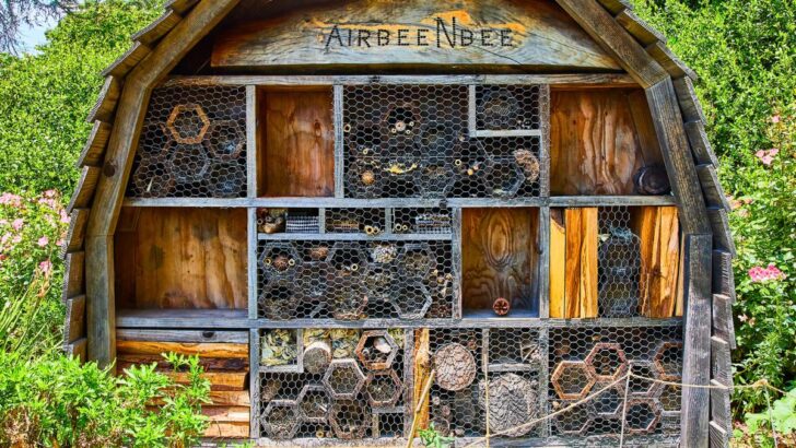 7 Easy Tips For Creating A Garden For Wildlife
