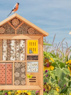 A colorful bird is standing on top of an insect hotel surrounded by sunflowers.
