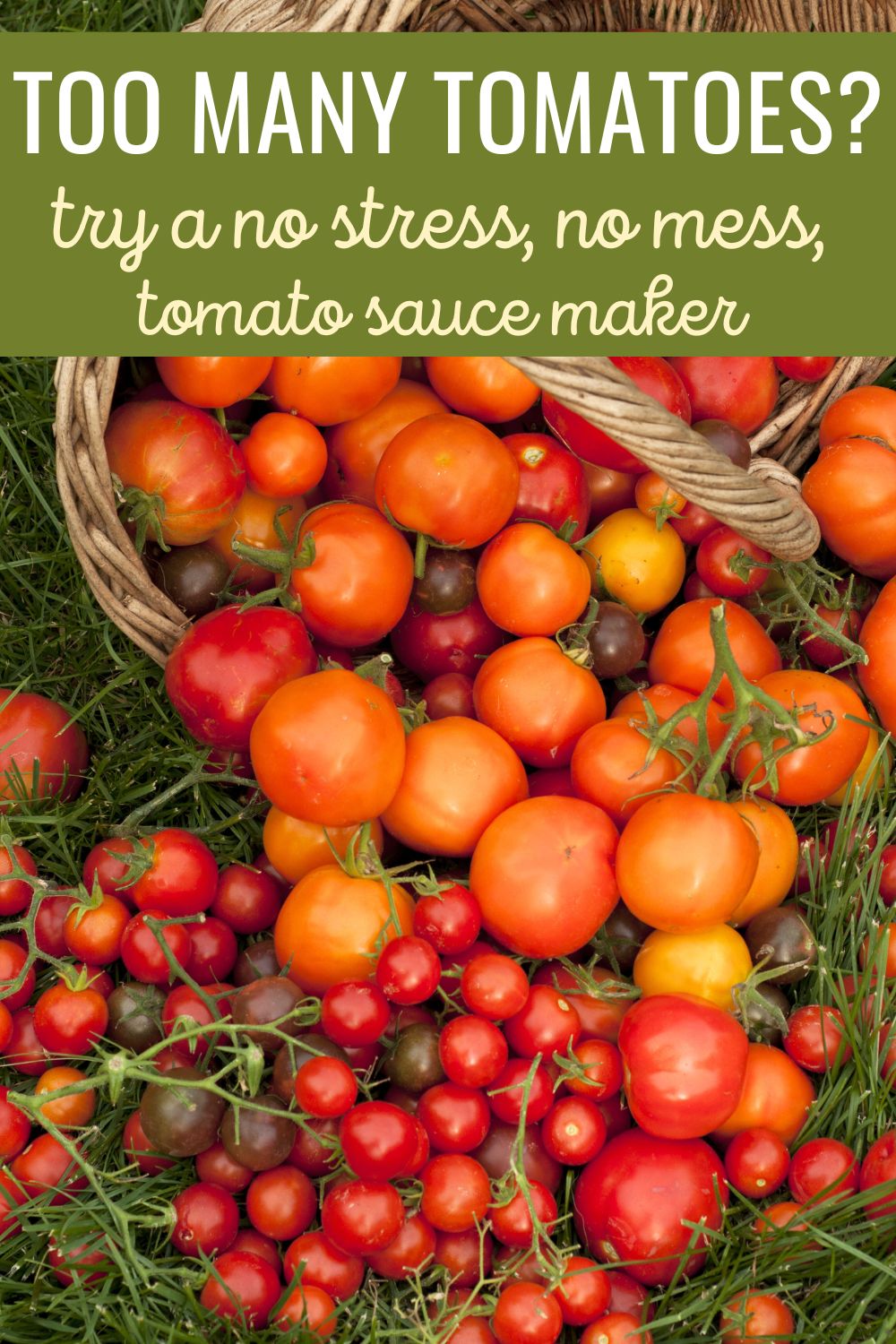 Too many tomatoes? Try a no-stress, no-mess, tomato sauce maker