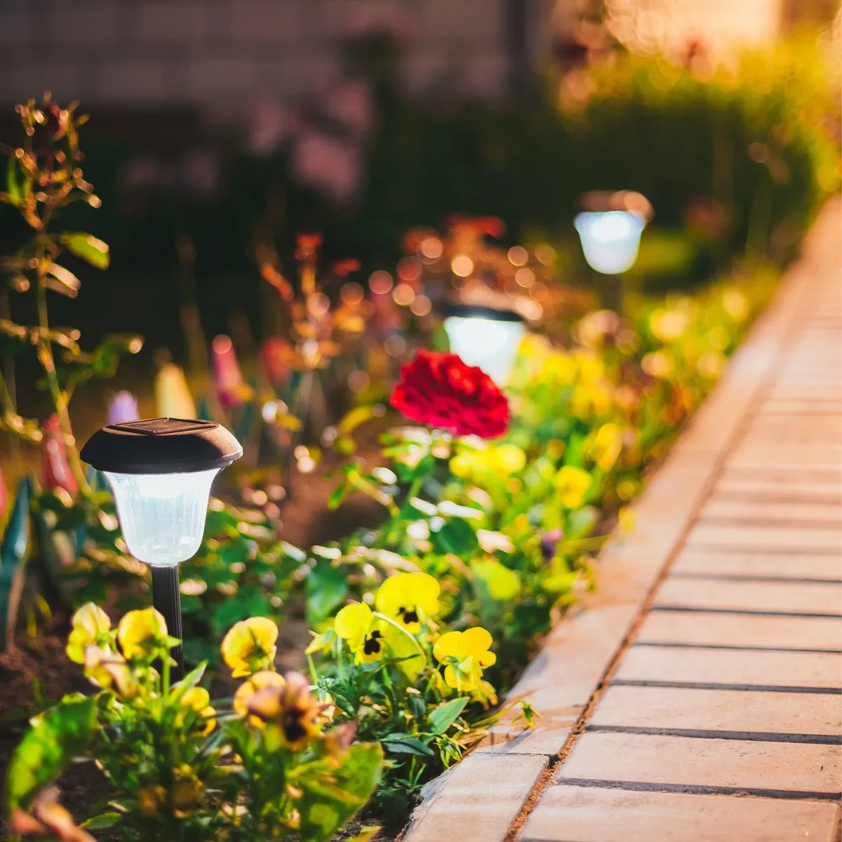 Simple solar lights line up a walkway surrounded by colorful flowers