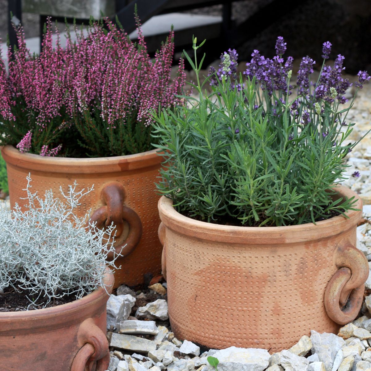 A set of flower containers sitting on white rocks. 