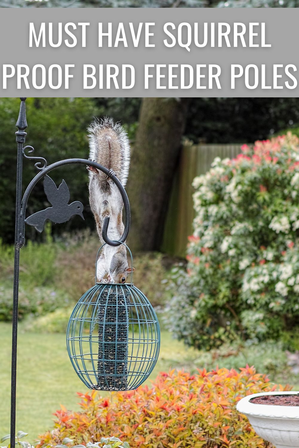 Must have squirrel proof bird feeder poles.
