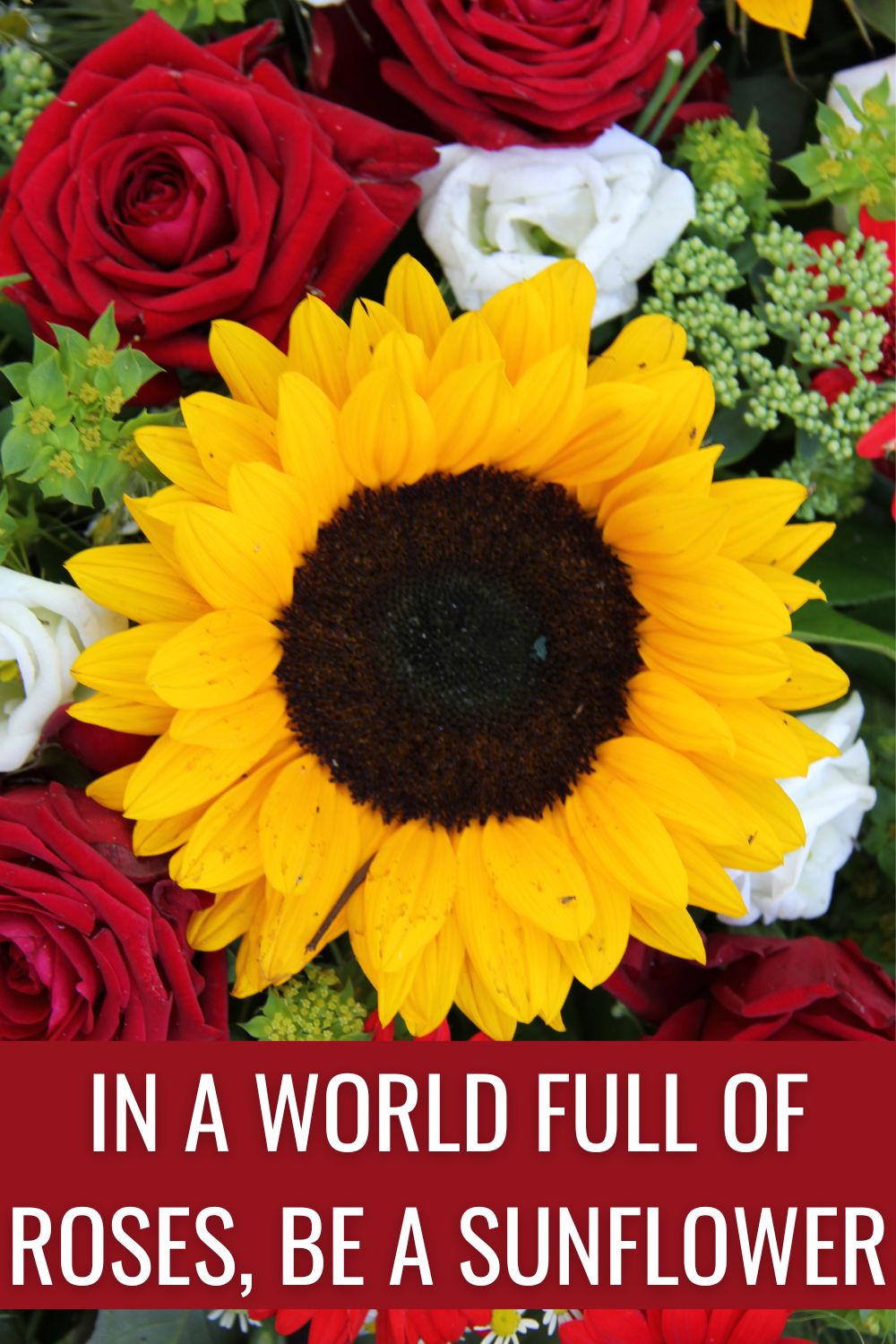 Quote: in a world full of roses, be a sunflower on a background of roses and a sunflower. 