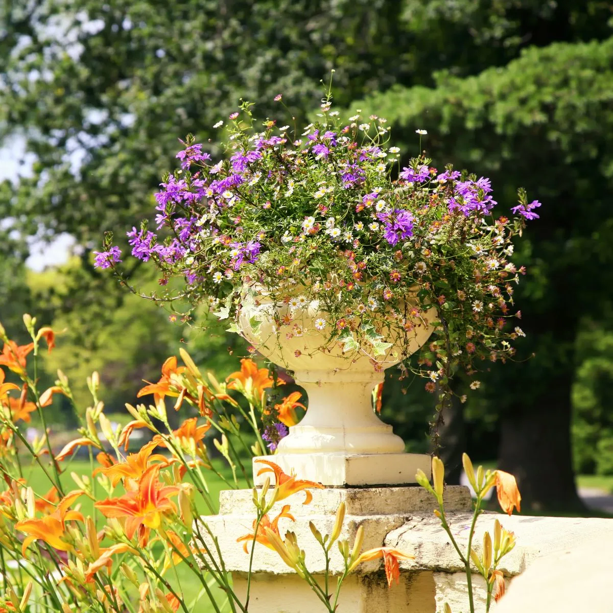 Concrete planter filled with a cascade of white and purple flowers and surrounded by orange lilies. 