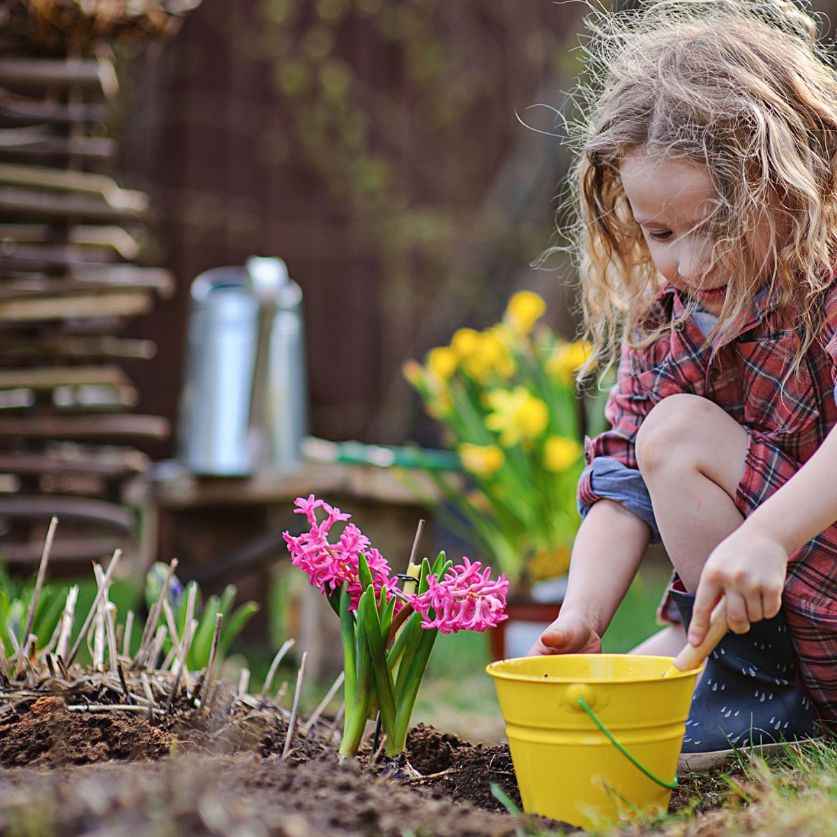 a young girl with a yellow bucket planting flowers. 