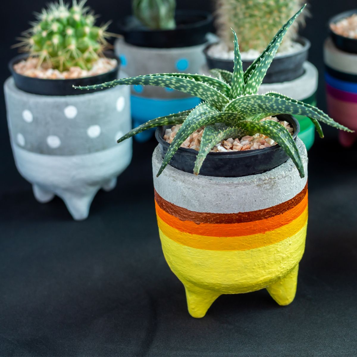 painted stone planters: polka dots and bright colored stripes. 