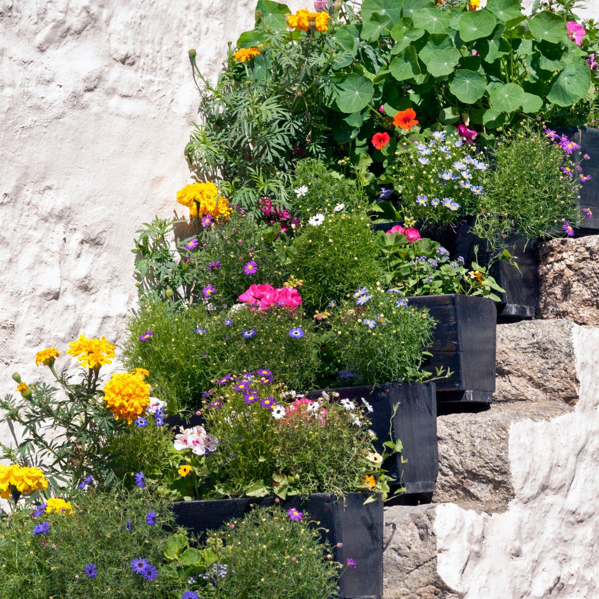 Black planters filled with colorful flowers, arranged on stone stairs