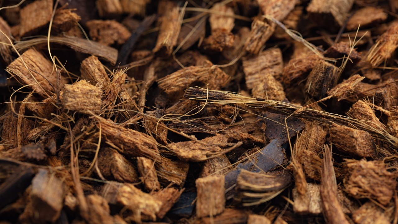 Coconut Husk Chips or coconut shell chips. Commonly used as soil improvement or conditioner material.