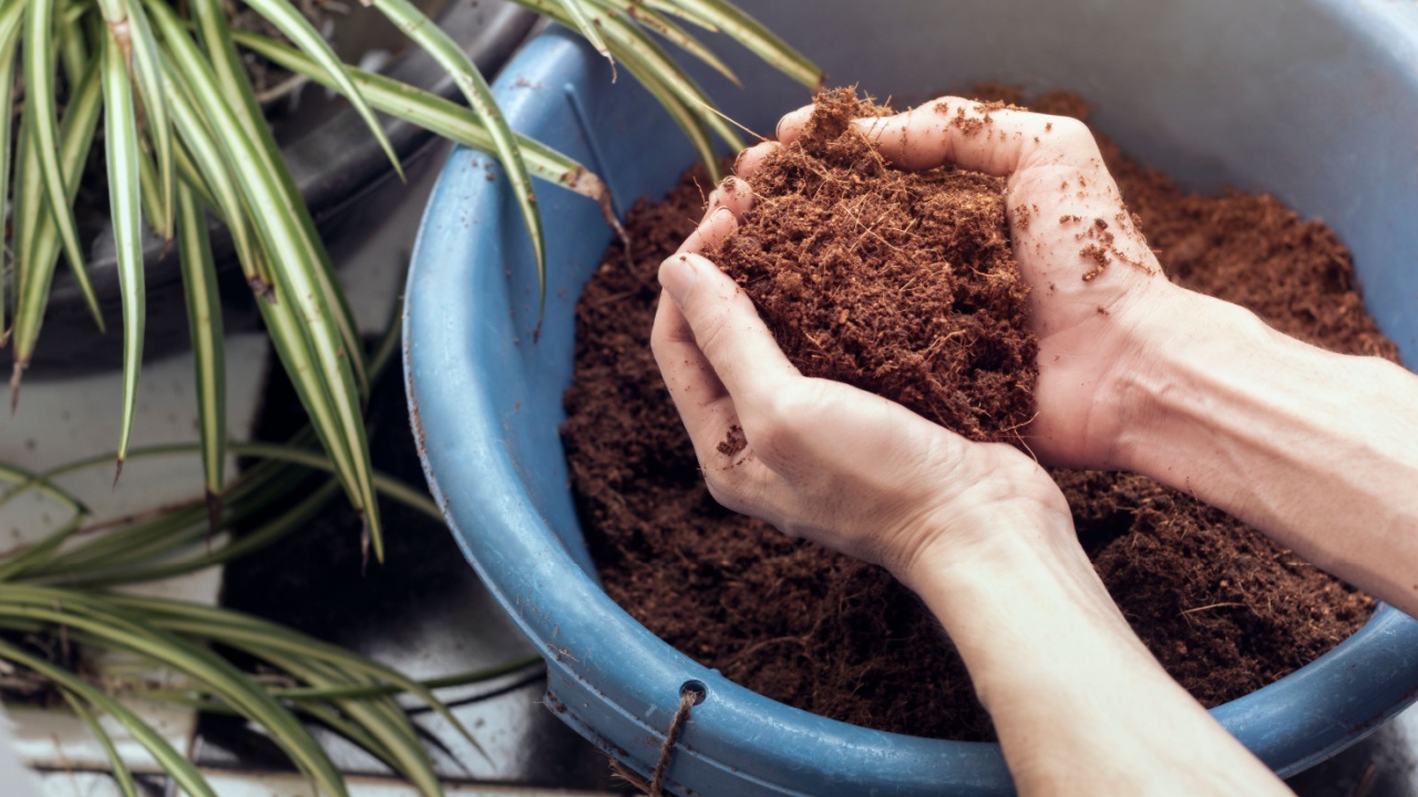 close up male hands holding Coconut coir blue bucket