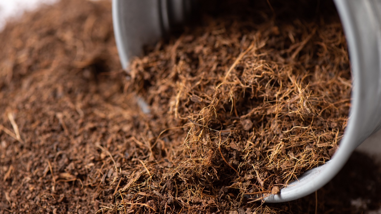 Coco peat for gardening. Coco peat is growing medium made out of coconut husk.