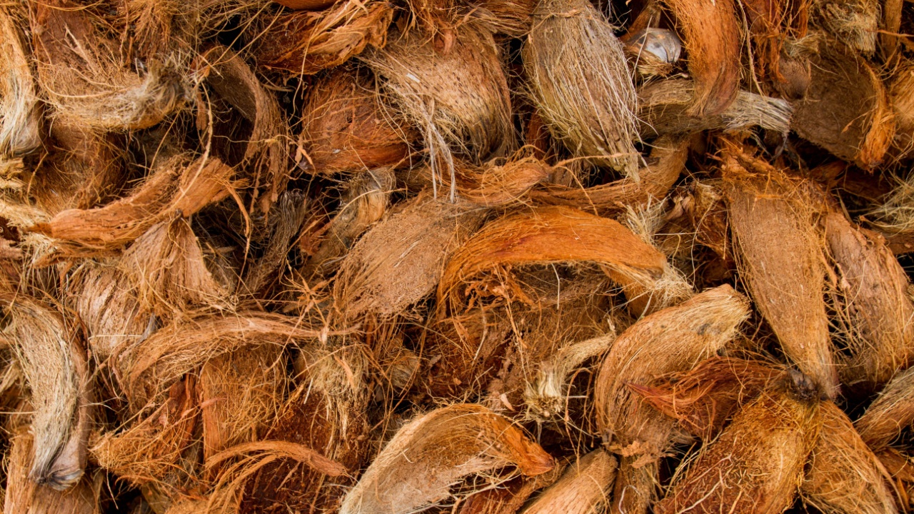coconut fiber