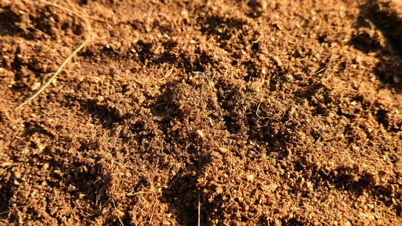 Detailed texture of light brown cocopeat, an organic planting medium made from coconut coir, ideal for agriculture and hydroponicsThis image is suitable for agriculture, organic gardening, and natura