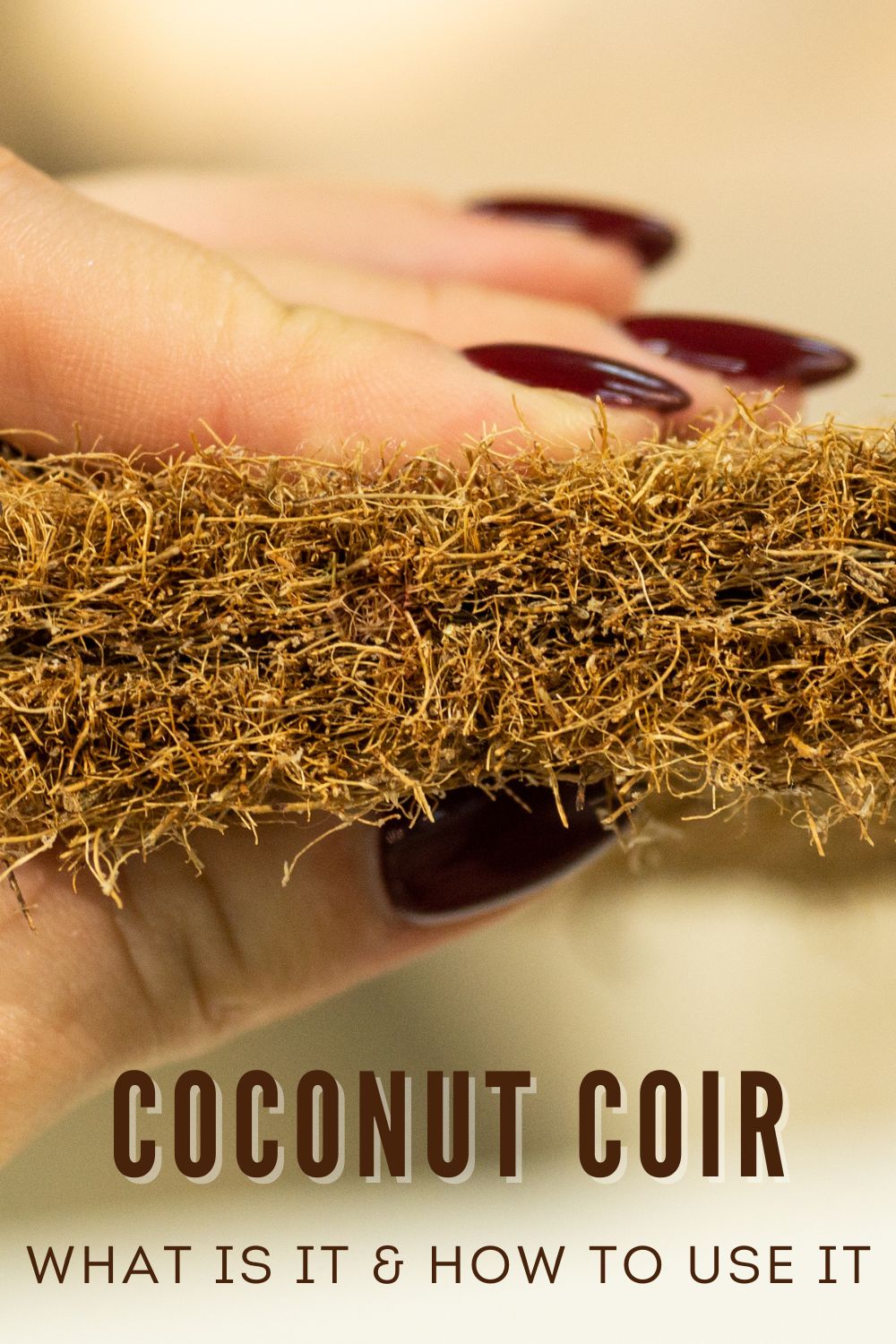 Coconut coir: what it is and how to use it.