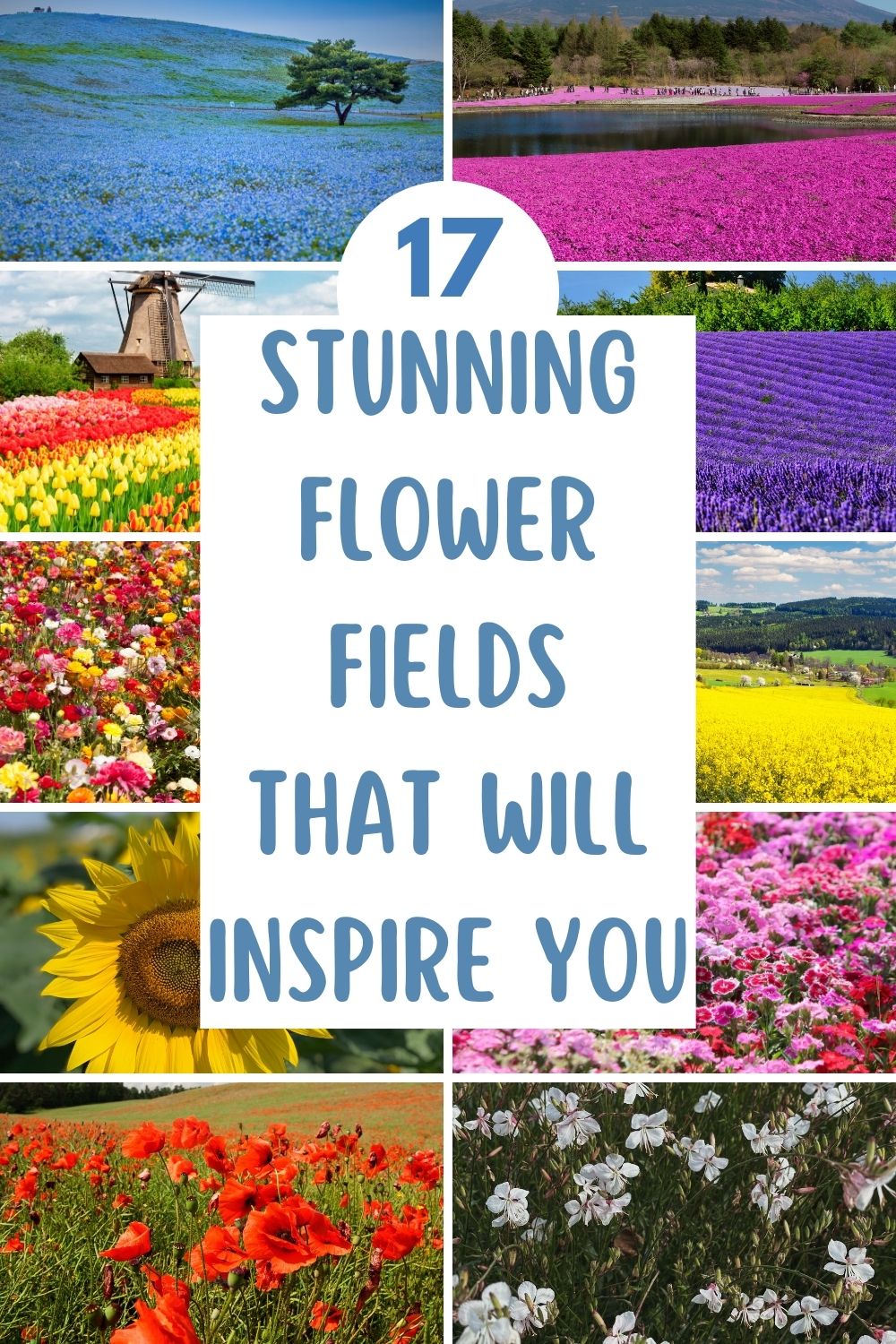 17 Stunning Flower Fields That Will Inspire You.
