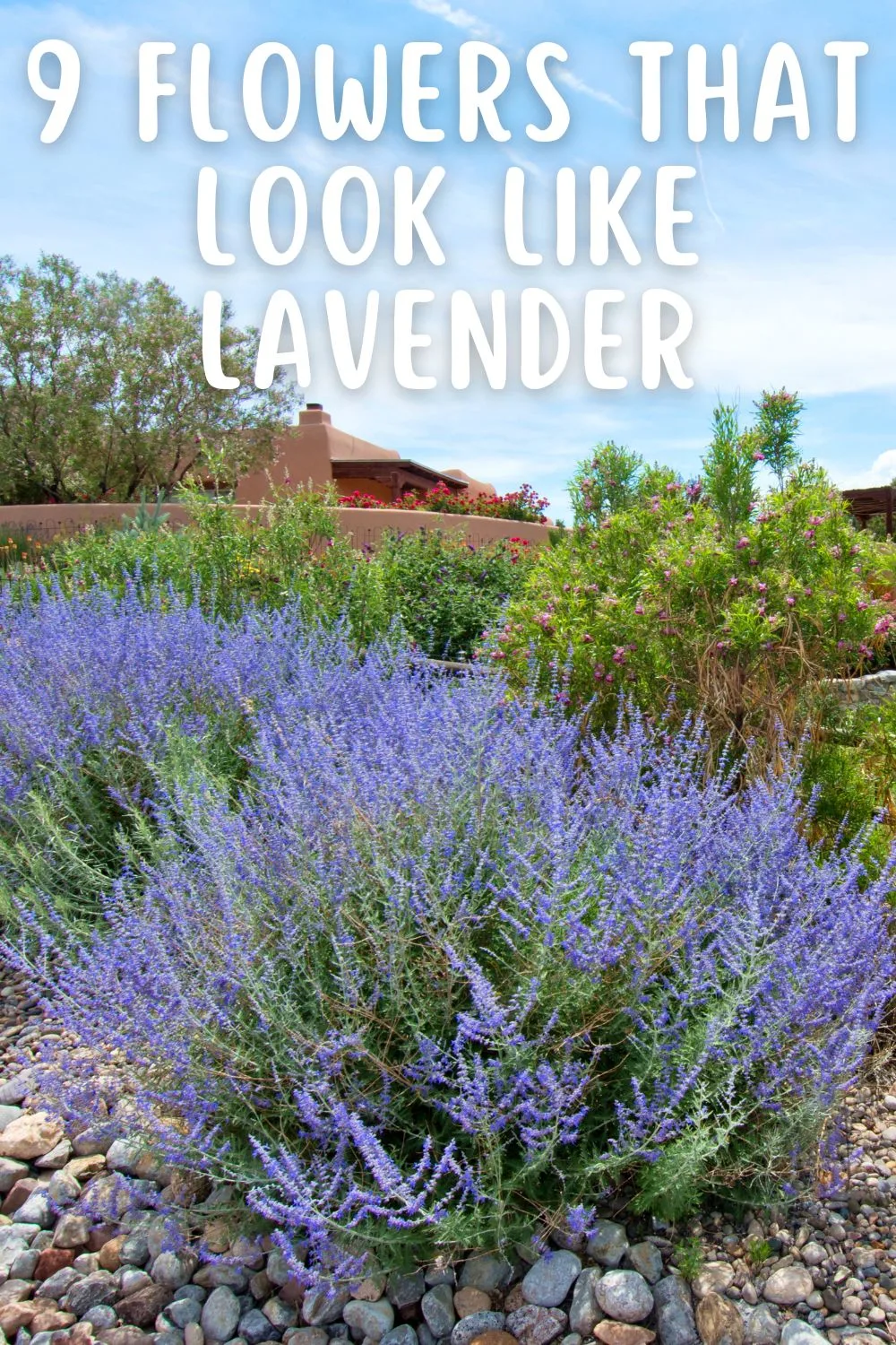 9 Flowers that Look Like Lavender.