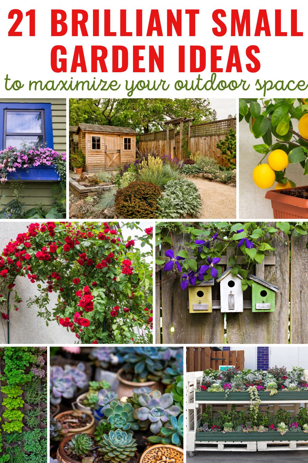 21 Brilliant Small Garden Ideas To Maximize Your Outdoor Space.