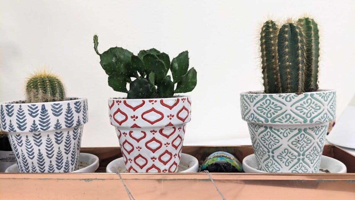 3 cacti in cute pots. 