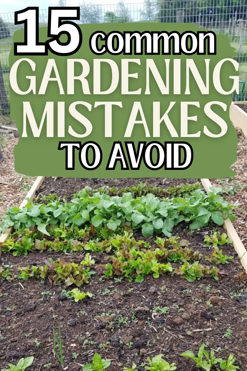 15 common gardening mistakes to avoid.