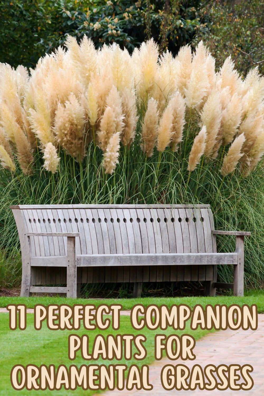 11 perfect companion plants for ornamental grasses,