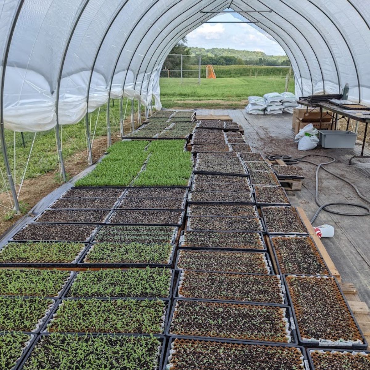 Large greenhouse in the spring.