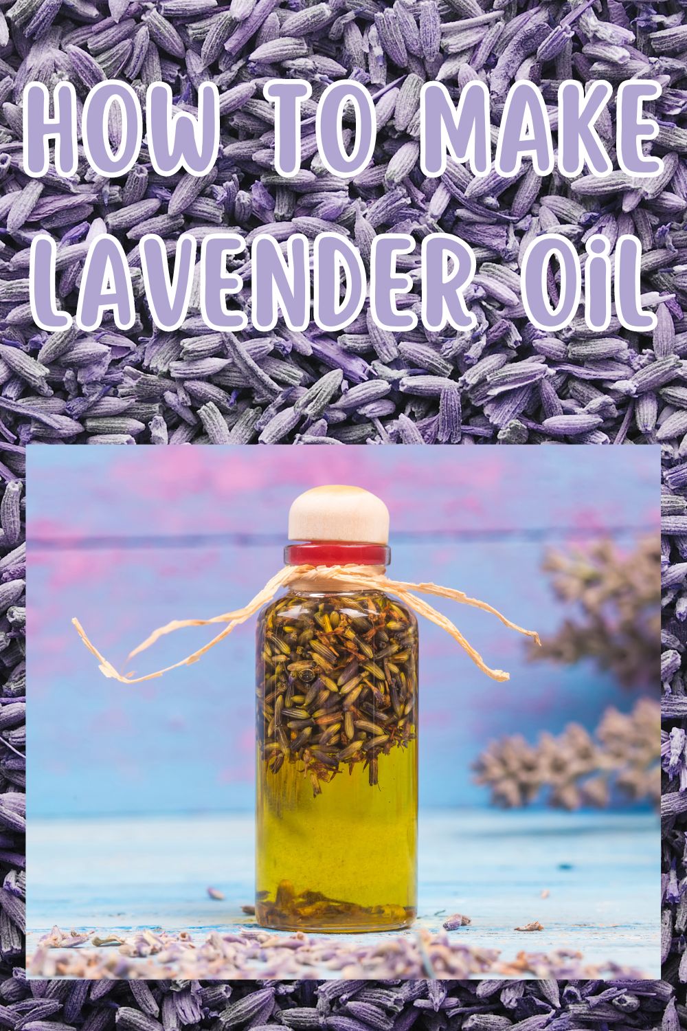 How to make lavender oil.