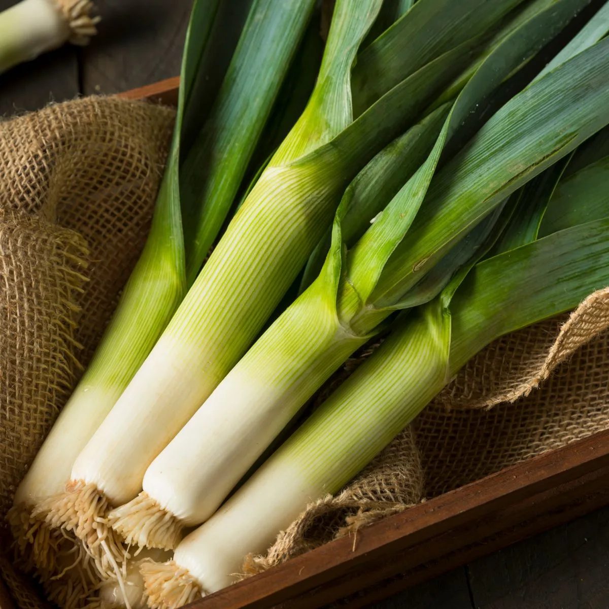A bunch of leeks in a basket.