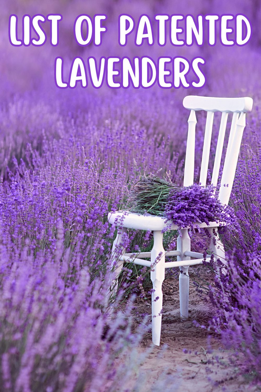 List of patented lavenders.
