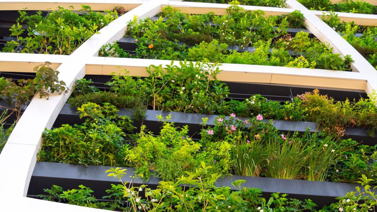 living wall covered with a variety of plants, flowers and grass.