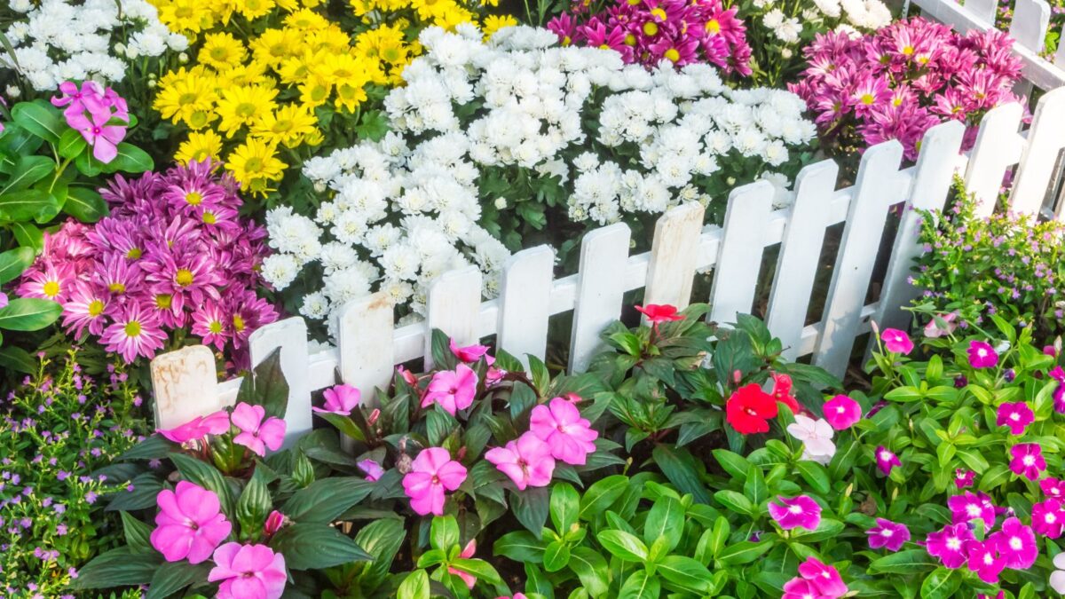 Small flower garden.