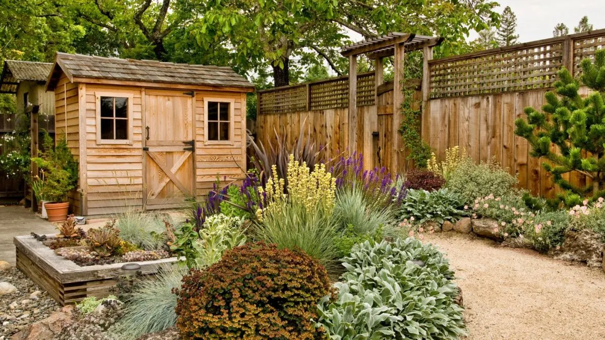 small wooden shed at the back of a small backyard., surrounded by beautiful vegetation. 