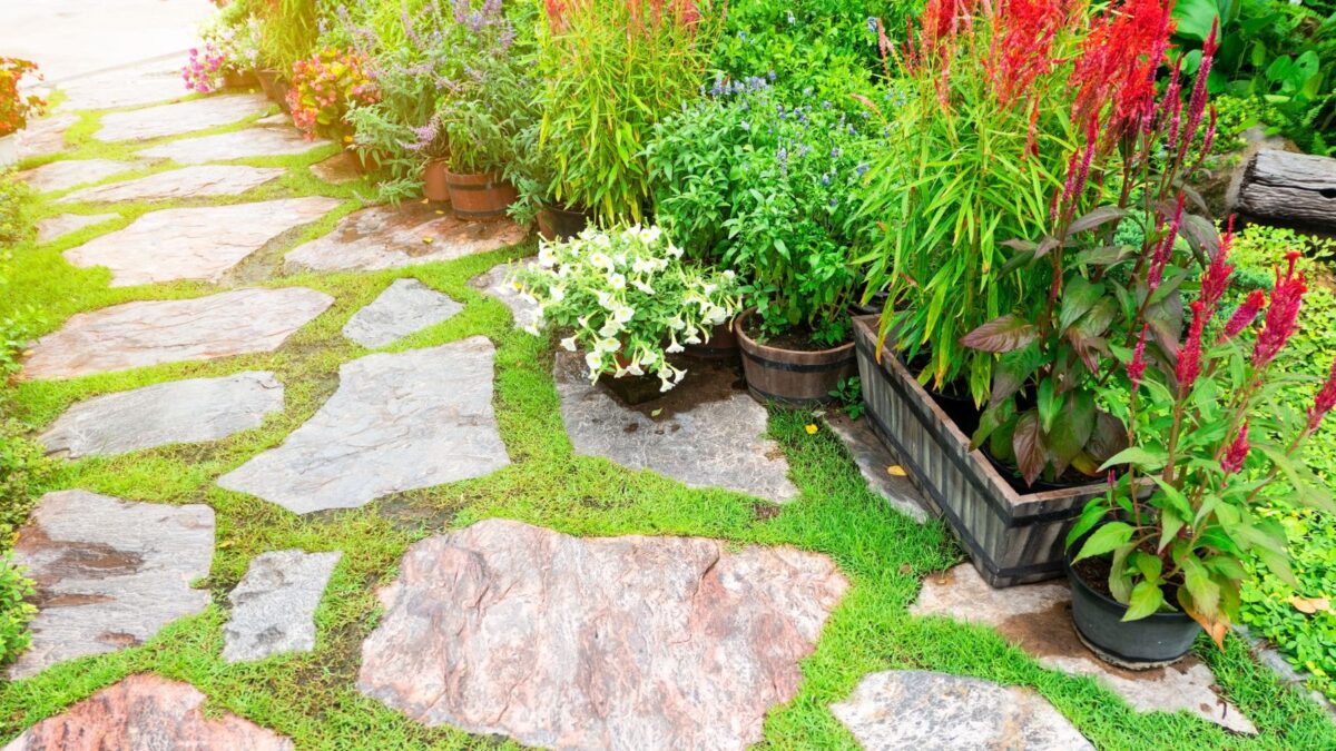 Stone pathway with grass in between the stones. 