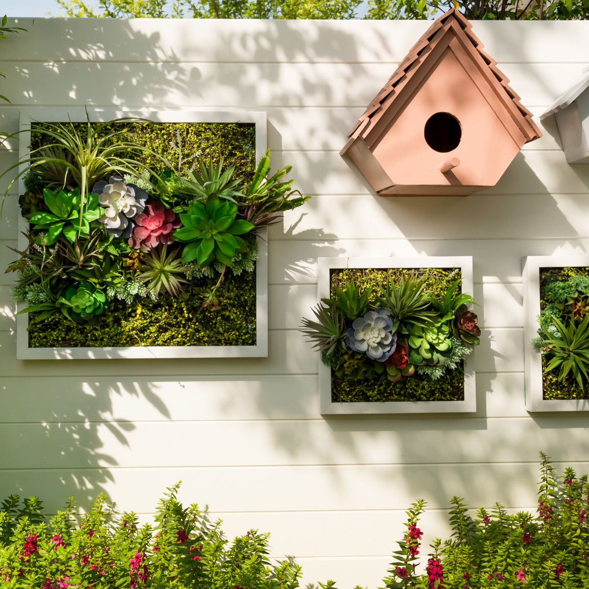 Vertical garden made up of bird houses, succulent frames and a climbing vine.