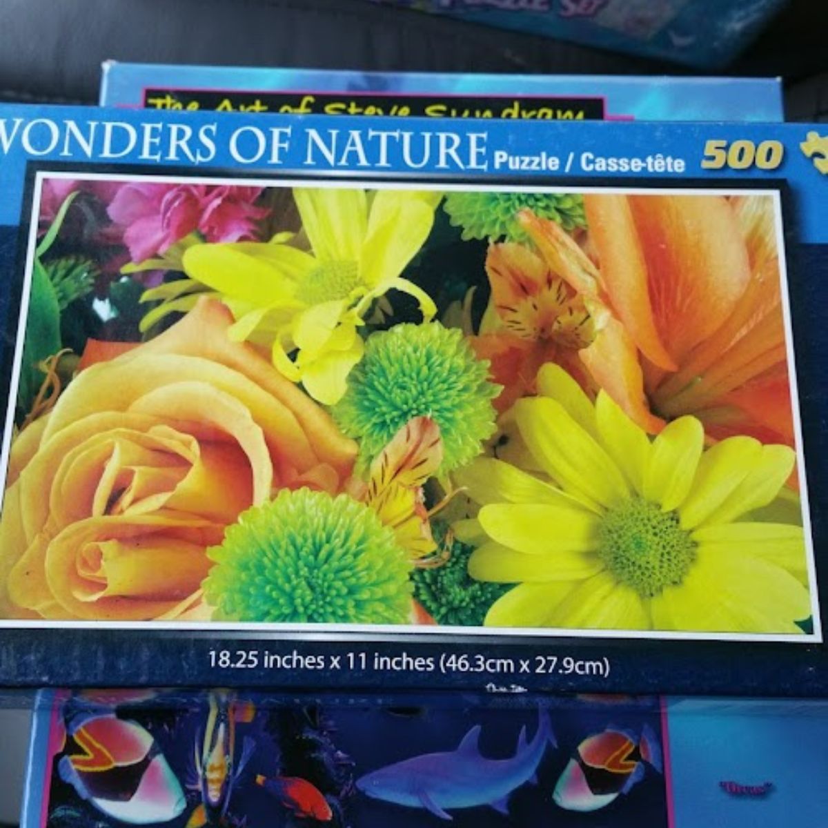 Wonders of nature puzzle box.