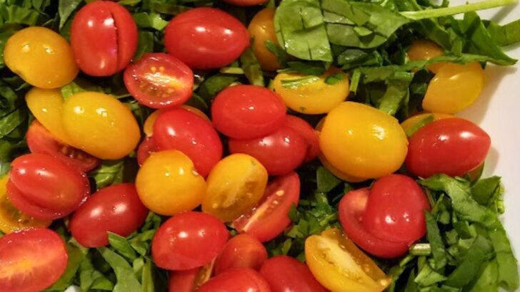 15 Delicious Cherry Tomato Recipes