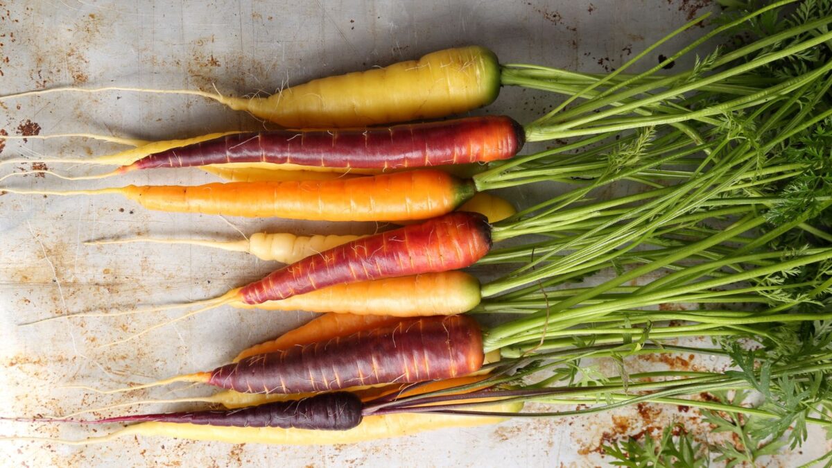 colorful carrots laying on a white board. 