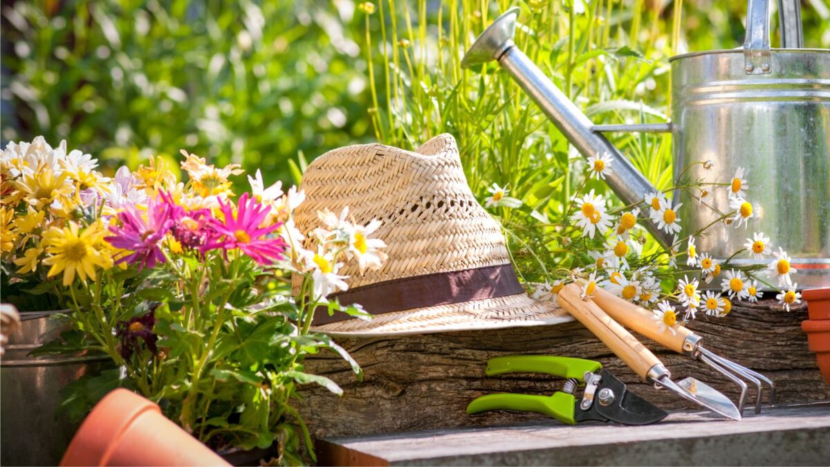 garden tools gathered on top of  a potting bench. 