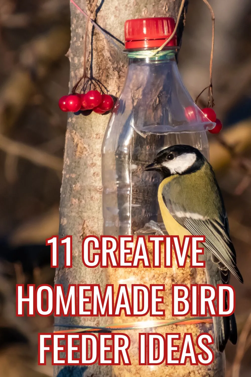 11 creative homemade bird feeder ideas.