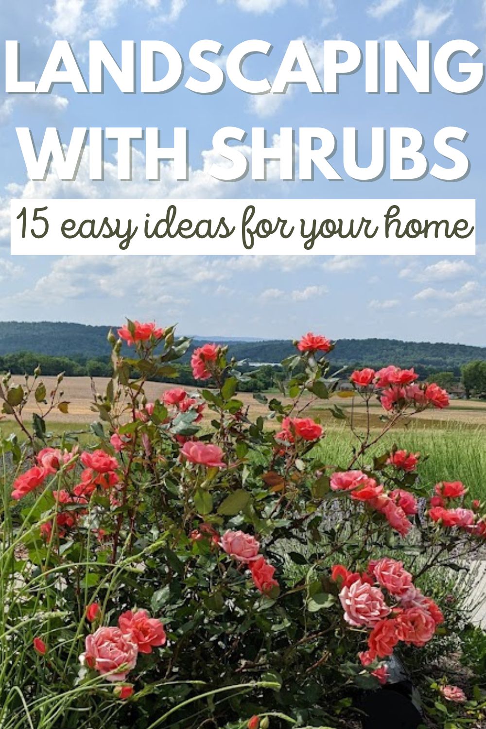 Landscaping with shrubs - 15 easy ideas for your home.