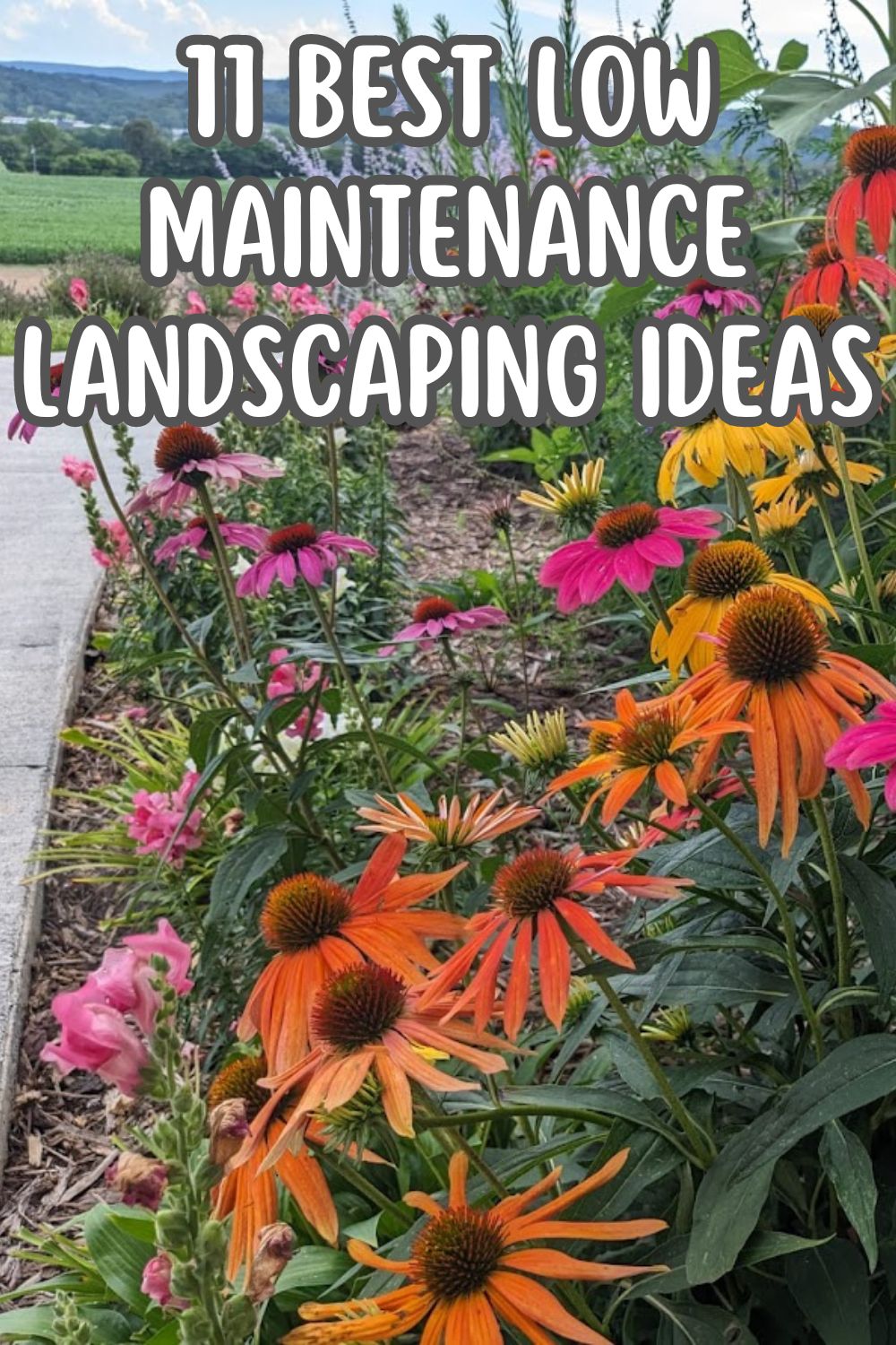 11 best low maintenance landscaping ideas.