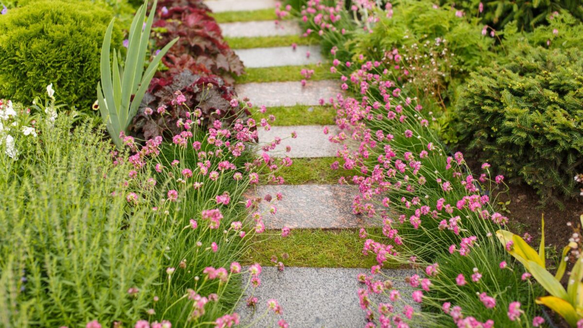 a stone pathway surrounded by flowers.