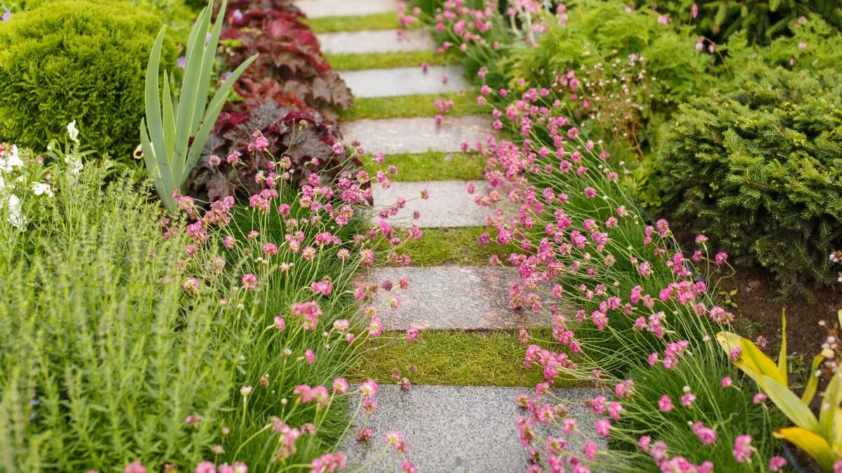 a stone pathway surrounded by flowers.