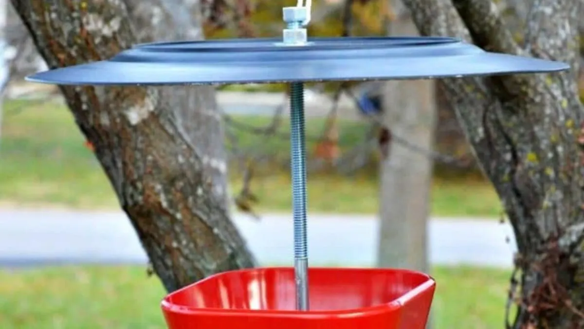 bird feeder made from a bowl and plate. 