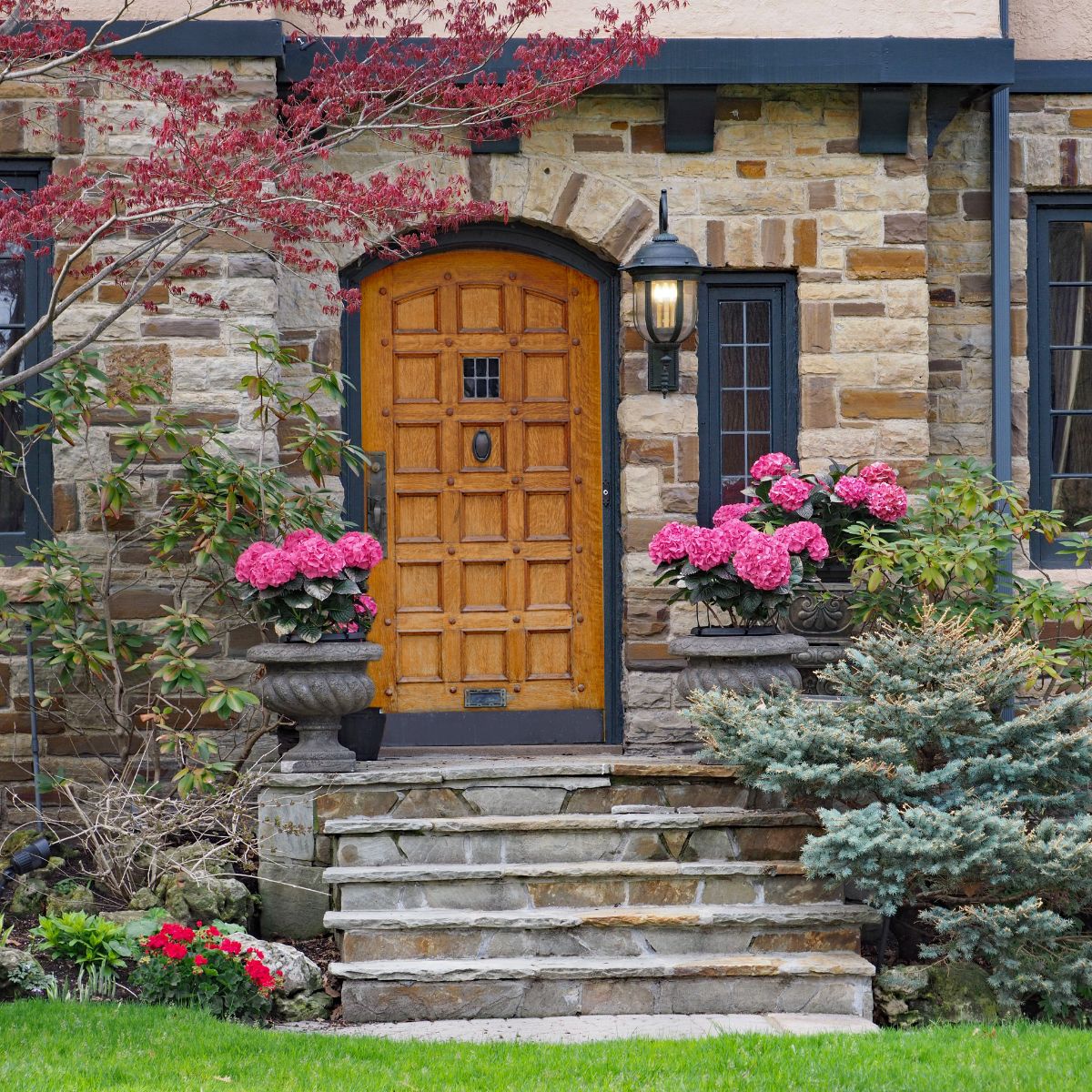 Potted pink hydrangeas on each side of the front door of the house. 