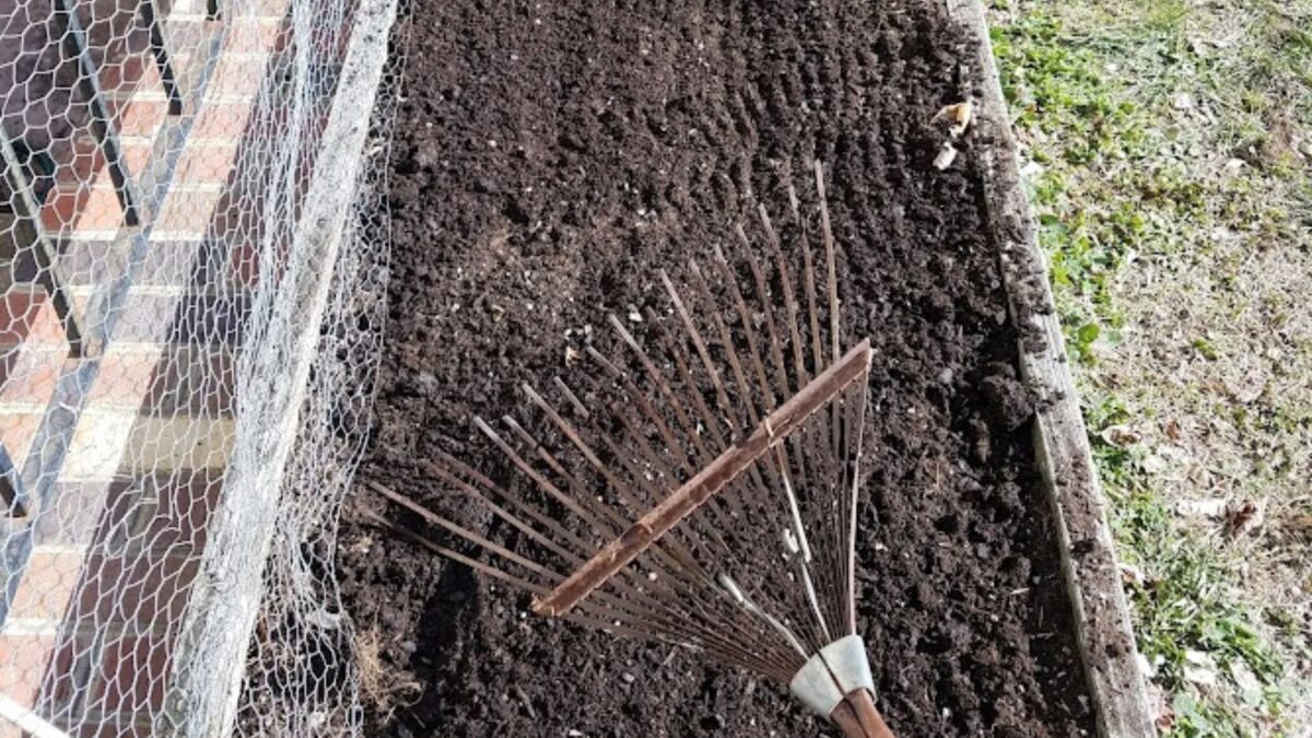 preparing garden  bed for planting.