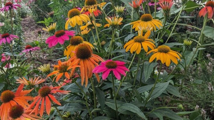 11 Low-Maintenance Landscaping Ideas For a Beautiful Yard
