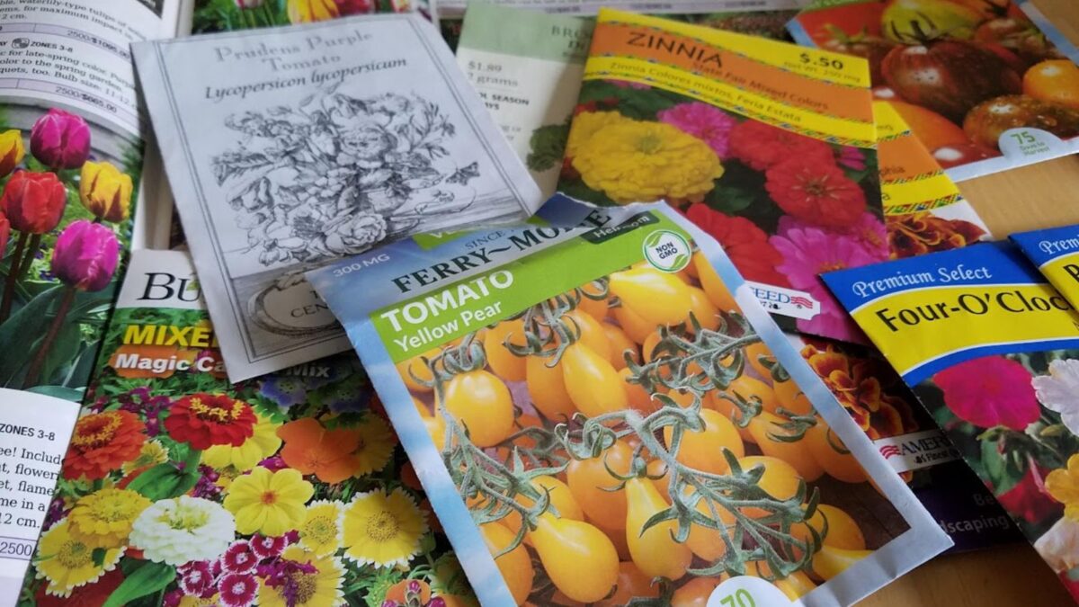 seed packets on top of a bulb magazine. 